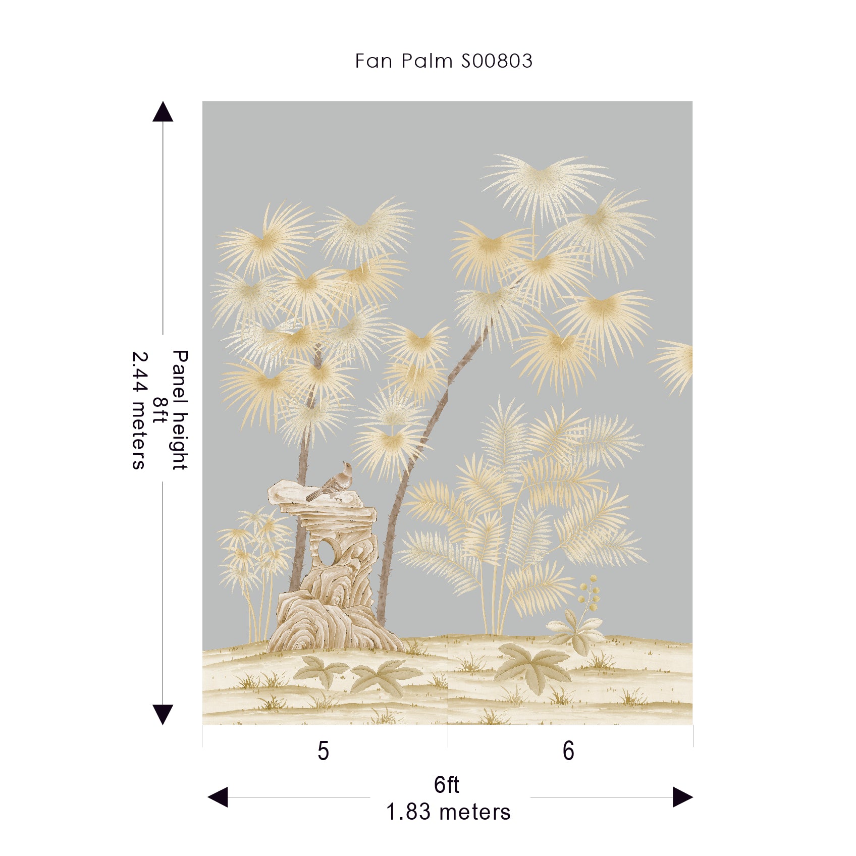 Fan Palm